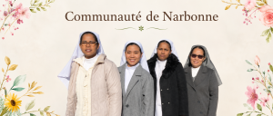 La communauté de Narbonne